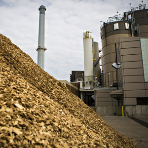 Biyokütle ve Atıktan Enerji tesisleri için konveyör zinciri