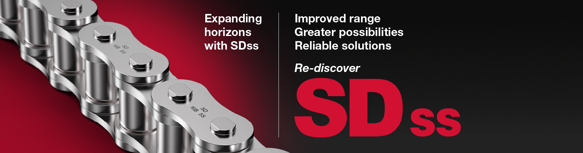 Sdss Web Banner